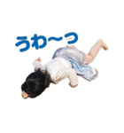 ★ひまりスタンプ★その5（個別スタンプ：20）