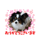 リンとモコと上野坊主のスタンプ（個別スタンプ：5）