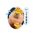 今日のはるちゃん❤︎（個別スタンプ：1）