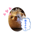 今日のはるちゃん❤︎（個別スタンプ：13）
