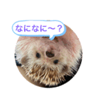 今日のはるちゃん❤︎（個別スタンプ：14）