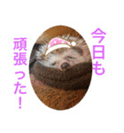 今日のはるちゃん❤︎（個別スタンプ：15）