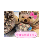 今日のはるちゃん❤︎（個別スタンプ：18）