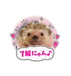 今日のはるちゃん❤︎（個別スタンプ：20）