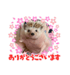 今日のはるちゃん❤︎（個別スタンプ：21）
