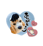 ゆる筆パンダ♡天使ちゃんとククちゃん（個別スタンプ：3）