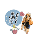 ゆる筆パンダ♡天使ちゃんとククちゃん（個別スタンプ：6）