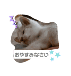 ZIZIくん＆FRIEND’s（個別スタンプ：6）