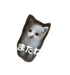 ZIZIくん＆FRIEND’s（個別スタンプ：11）