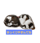 ZIZIくん＆FRIEND’s（個別スタンプ：12）