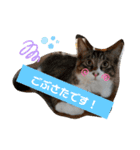 ZIZIくん＆FRIEND’s（個別スタンプ：14）