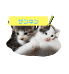 ZIZIくん＆FRIEND’s（個別スタンプ：16）