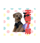 22.そら（個別スタンプ：3）