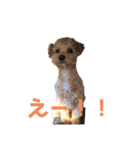 22.そら（個別スタンプ：8）