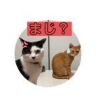 茶太郎とみい子4（個別スタンプ：3）