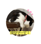 茶太郎とみい子4（個別スタンプ：4）