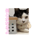 茶太郎とみい子4（個別スタンプ：6）