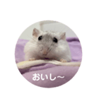 だいふく〜9  キャベツ編（個別スタンプ：8）