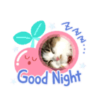 モフモフメイスタンプ（個別スタンプ：3）