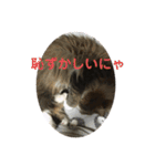 モフモフメイスタンプ（個別スタンプ：14）
