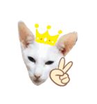 三角な猫6（個別スタンプ：4）