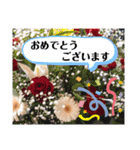 三角な猫6（個別スタンプ：8）