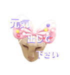 三角な猫6（個別スタンプ：14）