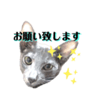 三角な猫6（個別スタンプ：15）