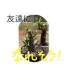 関西オヤジの独り言2（個別スタンプ：27）