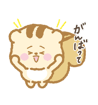 “しまりす”ちゃん（個別スタンプ：8）