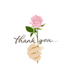 英語 /『ありがとう』ピンクの薔薇（個別スタンプ：1）