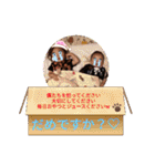 ♡大成長期♡（個別スタンプ：39）