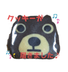 クッキー屋さんでお買いもん（個別スタンプ：8）