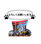 鈴菌1（個別スタンプ：9）