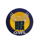 OWL TEAMスタンプ（個別スタンプ：34）