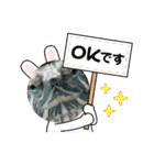 Gachan61（個別スタンプ：8）