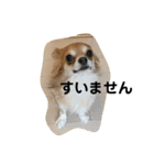 紋二郎と二葉 2（個別スタンプ：7）