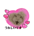 ふわもこ♡ほっこりハムスターの日常♪（個別スタンプ：4）