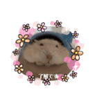 ふわもこ♡ほっこりハムスターの日常♪（個別スタンプ：9）