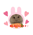 ふわもこ♡ほっこりハムスターの日常♪（個別スタンプ：12）