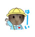 ふわもこ♡ほっこりハムスターの日常♪（個別スタンプ：13）