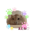 ふわもこ♡ほっこりハムスターの日常♪（個別スタンプ：17）