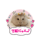 ふわもこ♡ほっこりハムスターの日常♪（個別スタンプ：20）