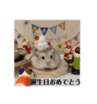 ふわもこ♡ほっこりハムスターの日常♪（個別スタンプ：21）