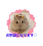 ふわもこ♡ほっこりハムスターの日常♪（個別スタンプ：22）