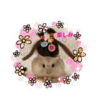 ふわもこ♡ほっこりハムスターの日常♪（個別スタンプ：24）