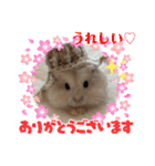 ふわもこ♡ほっこりハムスターの日常♪（個別スタンプ：25）