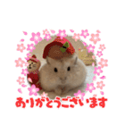 ふわもこ♡ほっこりハムスターの日常♪（個別スタンプ：27）