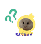 ふわもこ♡ほっこりハムスターの日常♪（個別スタンプ：28）