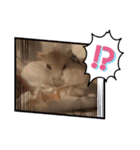 ふわもこ♡ほっこりハムスターの日常♪（個別スタンプ：29）
